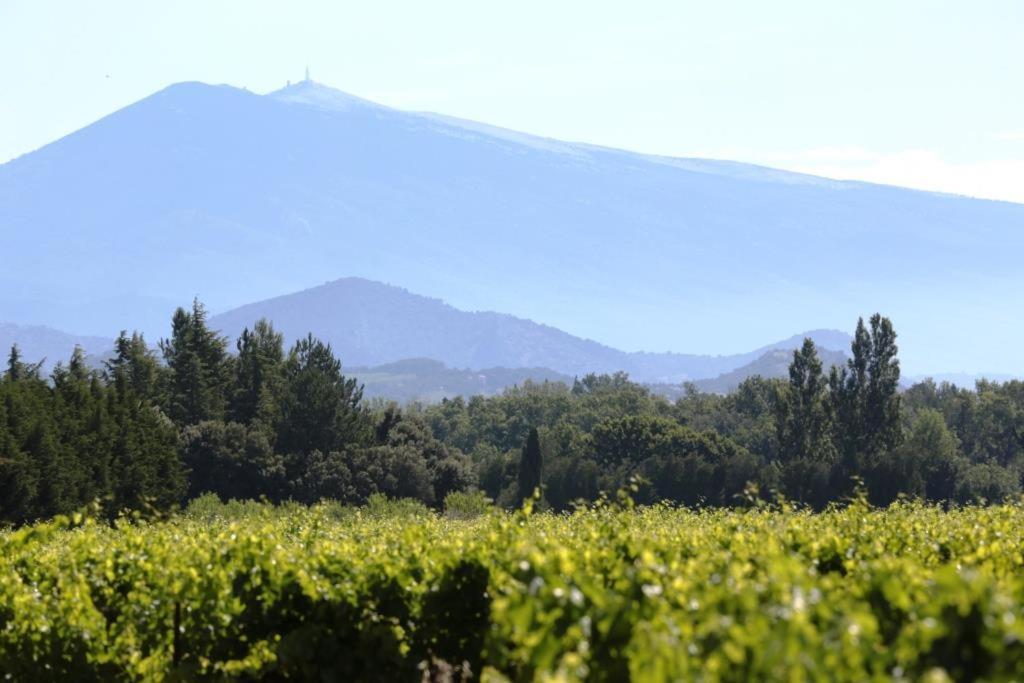 Mas Du Clos De L'Escarrat Jonquieres  Экстерьер фото